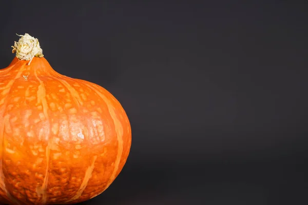 Halloween Kürbis Mit Orangen Blättern Auf Weißem Hintergrund — Stockfoto
