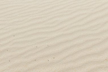 Kum dokusu arkaplan modelini kapat