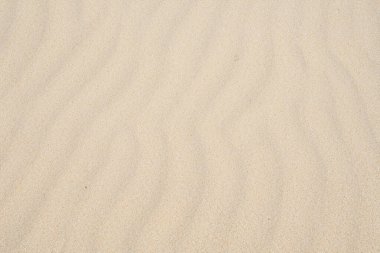 Kumsaldaki kum dokusu