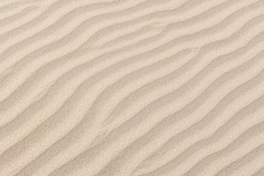 Kum tepecikleri. Çölde kum dokusu