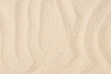 Beyaz kumlu kumlu kumlu bir kumsaldan.