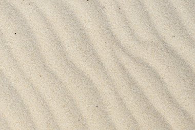 Kum dokusu. Soyut arkaplan. kum deseni.