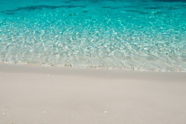 tropikal beyaz kumlu plaj