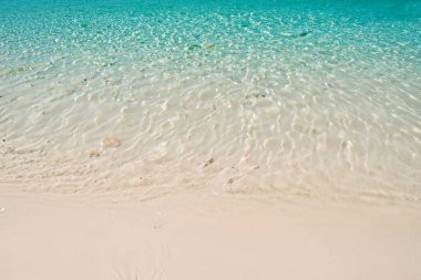 Tropik plaj güzel maldivler