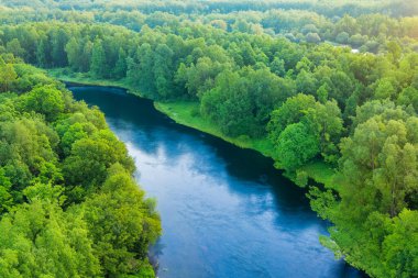 Ormandaki yeşil yapraklı nehir. Yukarıdan görünüm.
