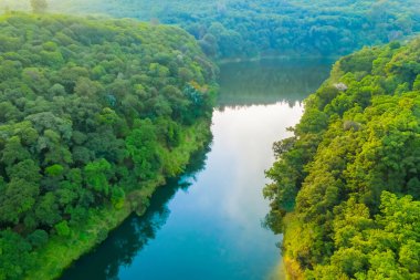 Yaz ormanındaki güzel göl manzarası