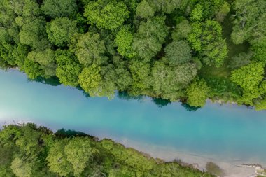 Ormandaki güzel yeşil nehrin havadan görünüşü