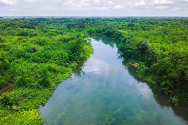 Mangrove ormanının ve nehrin havadan görünüşü