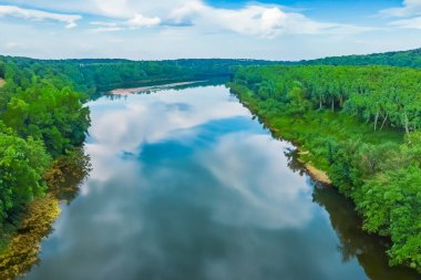 Yazın yeşil orman ve ağaçlı nehrin havadan görünüşü.