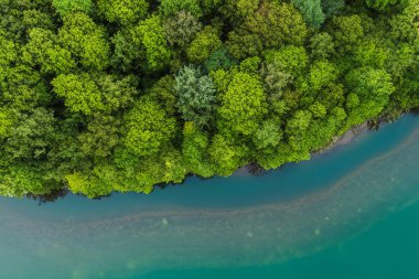 Dağlardaki ormandaki gölün üst manzarası..