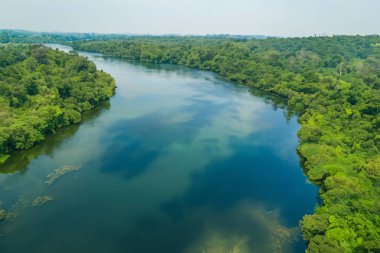 Brezilya 'daki güzel yeşil orman nehrinin hava manzarası..