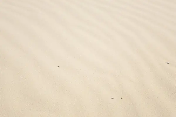 sand texture background, sand texture