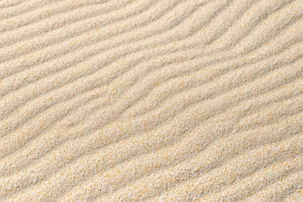 texture of sand in the desert
