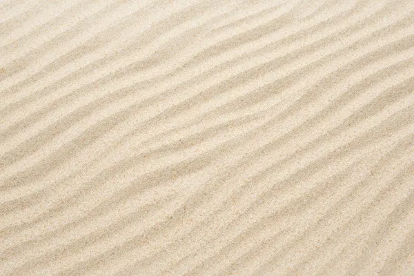 the texture of the sand, sand