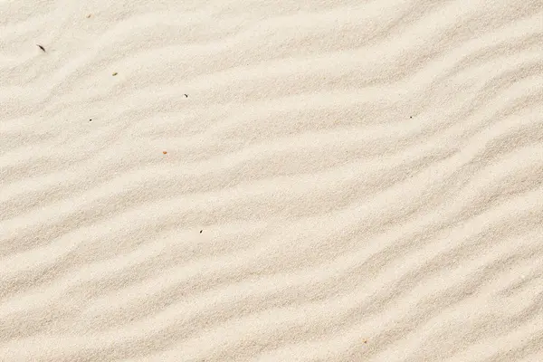 close - up of a beach sand with white sand. background of sand texture.