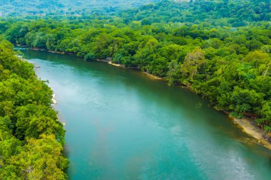 Ormandaki nehrin havadan görünüşü