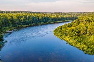 Finlandiya, Finlandiya 'daki güzel yaz ormanı nehrinin hava manzarası.
