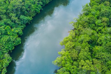 Tayland 'da nehir manzaralı.