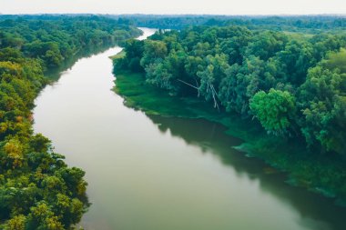 Ormandaki nehrin havadan görünüşü