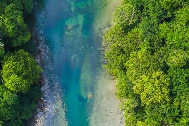 Arka planda deniz ve palmiye ağaçları olan güzel tropikal plaj, seyahat tatili