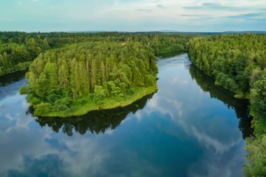 Yaz ormanındaki nehrin hava aracı görüntüsü