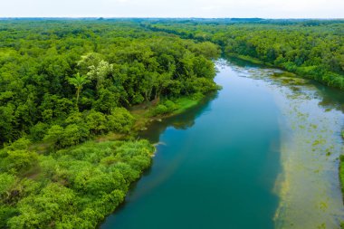 Nehir ve ormanın drone görüntüsü.