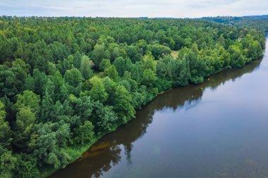 Orman nehrinin hava aracı görüntüsü.