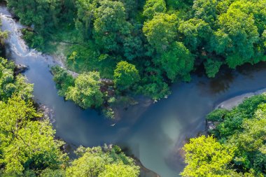 Ormandaki nehrin havadan görünüşü