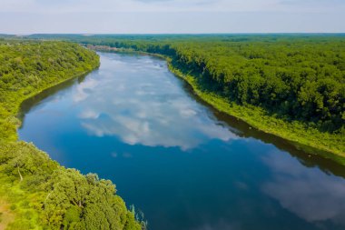 Ormandaki nehrin havadan görünüşü