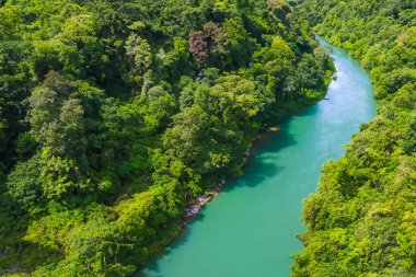 Ormandaki nehir ve dağ manzarası.