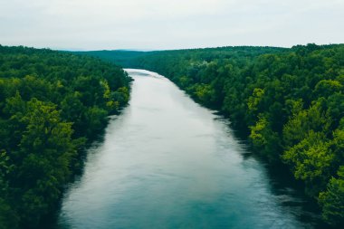 Yeşil ağaçlı ve dağlı nehrin havadan görünüşü