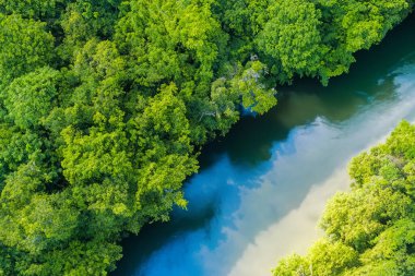 Ormandaki güzel nehir.