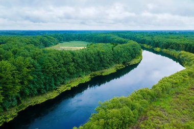 Ormandaki yeşil orman ve ağaçlı nehrin havadan görünüşü. Kırsal kesimde yaz manzarası