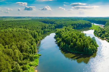 Ormandaki nehrin havadan görünüşü