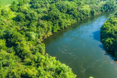 Orman nehrinin güzel manzarası