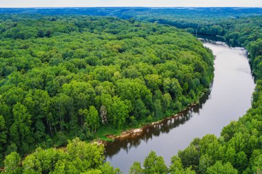 Ormandaki bir nehrin havadan görünüşü