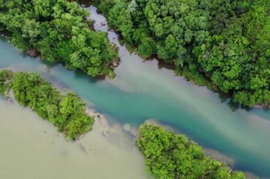 Yeşil Orman Nehri 'nin havadan görünüşü