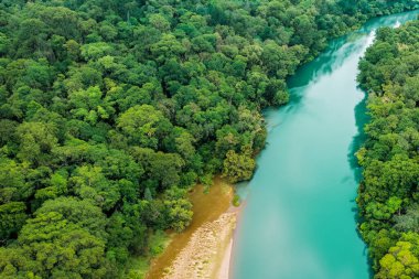 Yeşil orman nehri hava manzarası, üst manzara, yaz manzarası, nehir, orman nehri, nehir, orman nehri, orman nehri, mavi