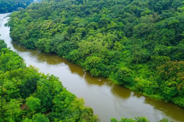 Nehirli güzel bir tropikal orman. seyahat, doğa arka planı.
