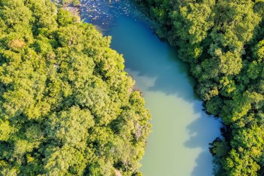 Ormandaki gölün havadan görünüşü