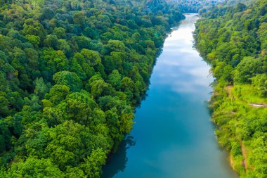 ormanda güzel nehir