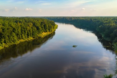 Nehir ve ormanın havadan görünüşü