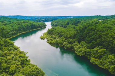 Ormandaki nehrin havadan görünüşü