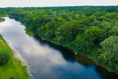 Ormandaki nehrin havadan görünüşü