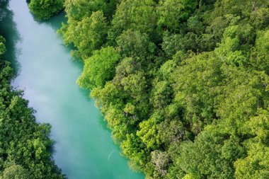 Ormandaki gölün havadan görünüşü