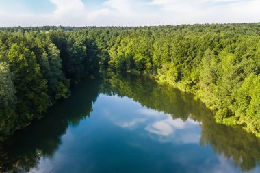 Ormandaki güzel yeşil nehrin havadan görünüşü