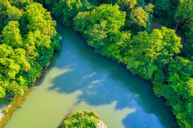 Ormanda yaz mevsiminde nehrin havadan görünüşü.