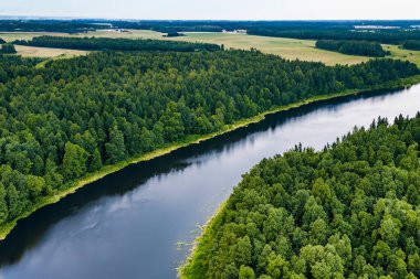 Yazın yeşil göl ve ağaçların havadan görünüşü