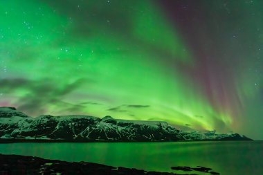 Lofoten, Norveç 'te gecenin kuzey ışıkları