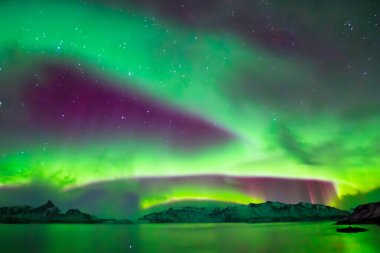 Lofoten Norveç 'te Aurora Borealis Borealis